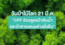 21 มีนาคม “วันป่าไม้โลก” CPF ร่วมฟื้นฟูป่าต้นน้ำ-ป่าชายเลน ปกป้องความหลากหลายทางชีวภาพ