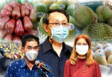 มกอช. จับมือกรมวิชาการเกษตรและ GIZ ติวเข้มผู้ส่งออกผลไม้ไทยภาคตะวันออกใช้งานระบบ e-Phyto เตรียมพร้อมรับมือฤดูผลไม้ปีนี้ หวังช่วยอำนวยความสะดวกการส่งออกผลไม้ไปจีน