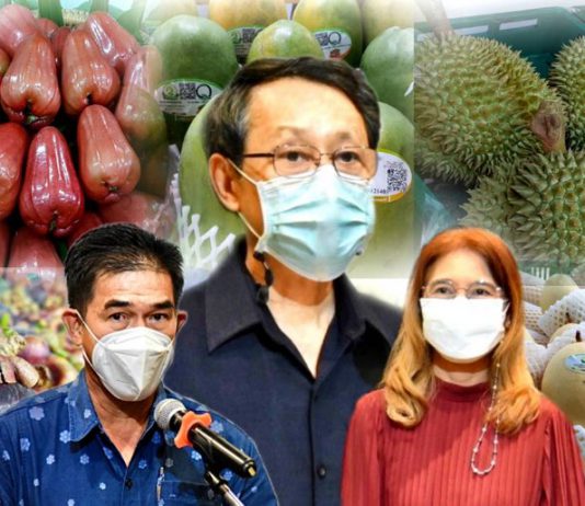 มกอช. จับมือกรมวิชาการเกษตรและ GIZ ติวเข้มผู้ส่งออกผลไม้ไทยภาคตะวันออกใช้งานระบบ e-Phyto เตรียมพร้อมรับมือฤดูผลไม้ปีนี้ หวังช่วยอำนวยความสะดวกการส่งออกผลไม้ไปจีน