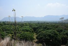 “เฉลิมชัย” นำทีมขึ้นเหนือ ไฟเขียว ชป.ลุยโครงการก่อสร้างอ่างฯห้วยจะกา จ.ลำพูน