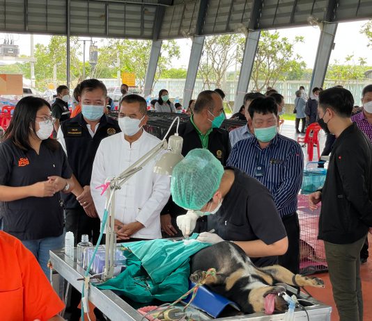 มูลนิธิซอยด๊อก จับมือ หน่วยงานท้องถิ่นนนทบุรีตั้งหน่วยทำหมันสุนัขเคลื่อนที่