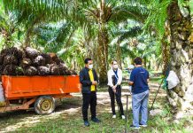 มกอช. ขับเคลื่อน BCG Model ยกระดับเกษตรกรต้นแบบตามมาตรฐาน GAP