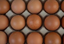 แจงต้นทุนการเลี้ยงสัตว์พุ่งรับสงครามยูเครน แต่ราคาขายไก่-ไข่ถูกตรึง