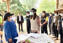 รมช.มนัญญา ชูสหกรณ์การเกษตรยั่งยืนแม่ทา จังหวัดเชียงใหม่ ต้นแบบพัฒนาอาชีพการเกษตรในพื้นที่คทช.