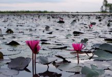 ชป. เร่งแก้ปัญหาคลองส่งน้ำชลประทาน ระยะที่ 3 จ.จันทบุรี