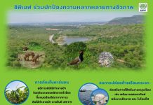 22 พ.ค. วันความหลากหลายทางชีวภาพ ซีพีเอฟ มุ่งมั่นพัฒนาห่วงโซ่อุปทานอาหารปราศจากการตัดไม้ทำลายป่า