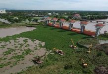 กรมชลฯ เร่งกำจัดผักตบเขื่อนทดน้ำบางปะกงอย่างต่อเนื่อง