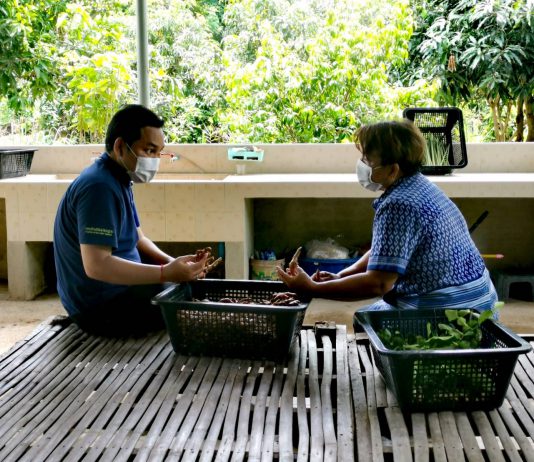 มกอช. หนุนโครงการพัฒนาเมืองสมุนไพร จ.ชัยนาท ยกระดับการผลิตตามมาตรฐานสินค้าเกษตร