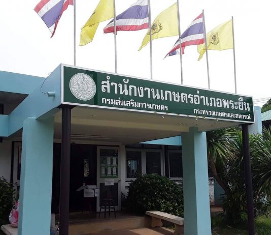 กรมส่งเสริมการเกษตรขอชี้แจงกรณีสำนักงานเกษตรอำเภอพระยืน จังหวัดขอนแก่น