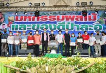 รมว.เกษตรฯ เปิดงาน “มหกรรมผลไม้และของดีป่าละอู” ชู ‘ทุเรียนป่าละอู’ ของดีประจวบฯ หนุนเกษตรกรปลูกสร้างรายได้ เน้นย้ำรักษาคุณภาพ เพื่อการส่งออกทั่วโลก