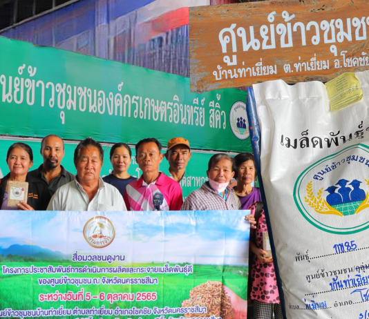 กรมการข้าว เผยความสำเร็จโครงการการผลิตเมล็ดพันธุ์ข้าวพันธุ์ดีของศูนย์ข้าวชุมชนโคราช ช่วยเพิ่มศักยภาพข้าวระดับประเทศ