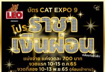 ข่าวดีสุด ๆ บัตร Cat Expo 9 ผ่อนได้ !โปรราชาเงินผ่อน กลับมาแล้วจ้า ! แบ่งจ่าย แค่งวดละ 700 บาท