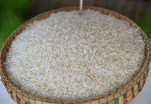 เปิดเคล็ดลับความหอม ของข้าวหอมมะลิไทย ทำอย่างไร