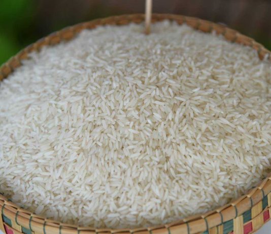 เปิดเคล็ดลับความหอม ของข้าวหอมมะลิไทย ทำอย่างไร