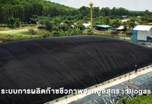 “ซีพีเอฟ กรีนฟาร์ม” นวัตกรรมการเลี้ยงสัตว์ ช่วยลดโลกร้อน