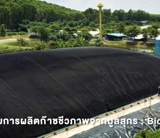 “ซีพีเอฟ กรีนฟาร์ม” นวัตกรรมการเลี้ยงสัตว์ ช่วยลดโลกร้อน