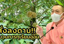 รมว. กษ. สั่งการด่วน ลงดาบกำจัดขบวนการทุเรียนอ่อน