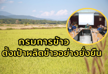 อธิบดีกรมการข้าว ลงพื้นที่เชียงของ ตั้งเป้าผลิตข้าวอย่างยั่งยืน ลดต้นทุน เพิ่มรายได้ชาวนาไทย