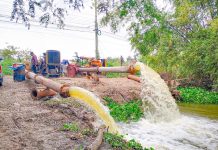 น้ำต้นทุนดี ชลประทาน พร้อมส่งน้ำเพาะปลูกพืชฤดูแล้ง