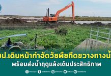 ชป. เร่งกำจัดวัชพืชกีดขวางทางน้ำ พร้อมส่งน้ำฤดูแล้งเต็มประสิทธิภาพ