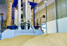 กรมการข้าว ดันโครงการส่งเสริมการเปลี่ยนเมล็ดพันธุ์ข้าว ปี 2566 มุ่งส่งเสริมเกษตรกรเปลี่ยนเมล็ดพันธุ์ข้าว