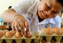 35 ปี แห่งการสร้างคลังอาหารในโรงเรียน ซีพีเอฟเดินหน้าหนุน “โครงการเลี้ยงไก่ไข่เพื่ออาหารกลางวันนักเรียน”