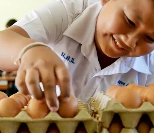 35 ปี แห่งการสร้างคลังอาหารในโรงเรียน ซีพีเอฟเดินหน้าหนุน “โครงการเลี้ยงไก่ไข่เพื่ออาหารกลางวันนักเรียน”