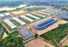 CPF โชว์ความสำเร็จ ระบบ “ไบโอแก๊ส” หนุนปศุสัตว์รักษ์โลก ตามแนวทาง BCG Model