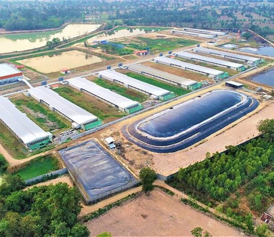 CPF โชว์ความสำเร็จ ระบบ “ไบโอแก๊ส” หนุนปศุสัตว์รักษ์โลก ตามแนวทาง BCG Model