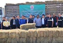 “รมช. ไชยา” เยี่ยมศูนย์กักกันโรคเพชรบุรี เตรียมส่งโคมีชีวิต2,000 ตัวไปเวียดนามทางเรือครั้งแรก