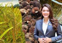 เกษตรกรเฮ !! สินค้าเกษตร ขยับราคาขึ้น สอดรับนโยบายกระทรวงเกษตรฯ หลังปราบสินค้าเถื่อน