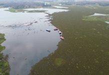 ชป.ไม่นิ่งนอนใจ เร่งกำจัดวัชพืชในเขื่อนกิ่วลมอย่างต่อเนื่อง