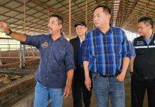 “รมช.อนุชา” ชู “ชัยนาทโมเดล” ส่งเสริมเกษตรกรเลี้ยงโคเนื้อพันธุ์ดี “ชัยนาทบีฟ” พร้อมติวเข้มความรู้มาตรฐานฟาร์มโคเนื้อ มุ่งยกระดับฟาร์มโคเนื้อสู่เกษตรมูลค่าสูง