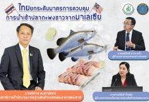 ไทยลุยยกระดับมาตรการควบคุมนำเข้าปลากะพงขาวจากมาเลเซีย