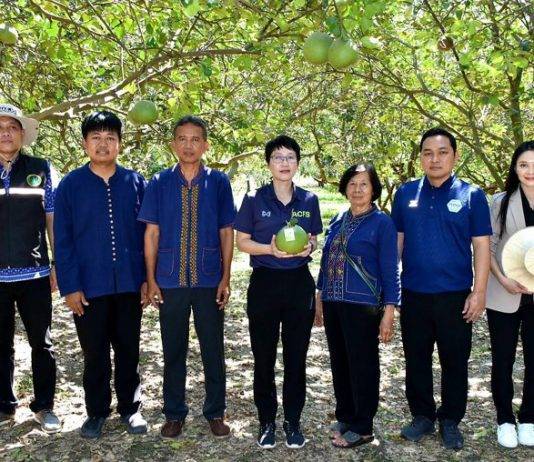 รองเลขาฯ มกอช. ลุยสวนส้มโอชัยนาท เดินหน้าพัฒนาคุณภาพผลผลิตสู่มาตรฐาน GAP-GI พร้อมส่งเสริมใช้ระบบ QR Trace on cloud และการตลาดผ่าน DGT Farm