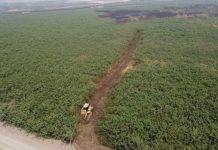 ชป.ขุดลอกเวียงหนองหล่ม เพิ่มปริมาณน้ำ ช่วยชีวิตควาย พลิกฟื้นชีวิตคน“เวียงหนองหล่ม” แหล่งน้ำธรรมชาติขนาดใหญ่ครอบคลุมพื้นที่ 14,091 ไร่ ในเขต อ.แม่จัน และ อ.เชียงแสน