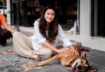 ปู ไปรยา เยี่ยมชมมูลนิธิซอยด๊อก มอบเงินและอาหารช่วยสัตว์จรจัดยากไร้