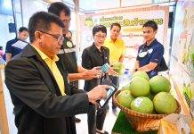 มกอช.ลุยยกระดับส้มโอขาวแตงกวาชัยนาทสู่เกษตรมูลค่าสูง ตอบโจทย์นโยบาย Soft Power ของรัฐบาล