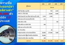 อึ้ง!! พบ 11 บริษัทส่งออกปลาสวยงาม ทำเงินเข้ากระเป๋าจาก “ปลาหมอคางดำ”