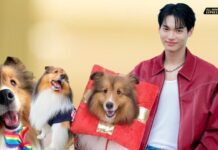 “แฟนคลับ วิน เมธวิน” ร่วมบริจาคเงินให้มูลนิธิซอยด๊อกทำบุญเนื่องในการจากไปของสุนัขแสนรักของ “วิน เมธวิน”