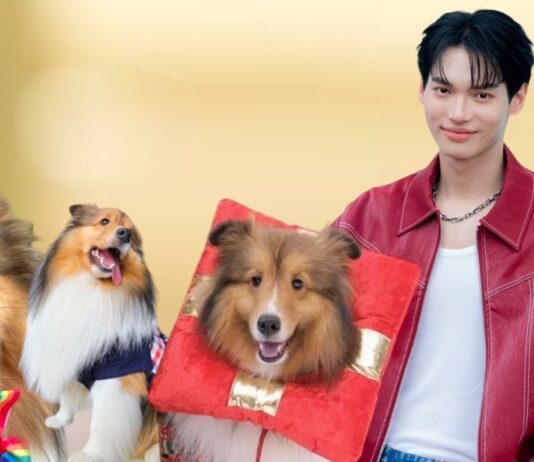 “แฟนคลับ วิน เมธวิน” ร่วมบริจาคเงินให้มูลนิธิซอยด๊อกทำบุญเนื่องในการจากไปของสุนัขแสนรักของ “วิน เมธวิน”