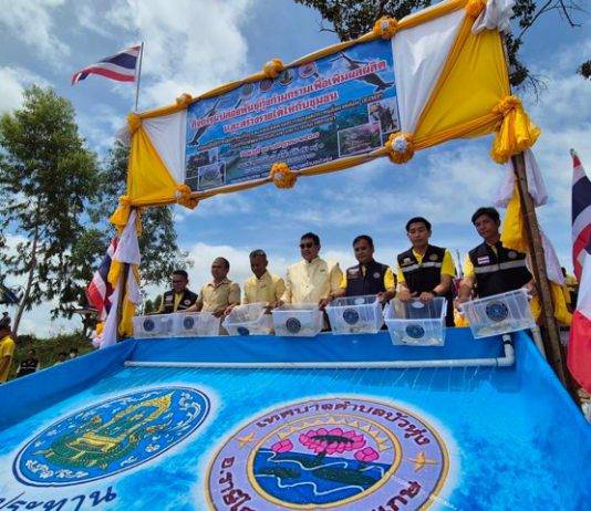 โครงการชลประทานศรีสะเกษ เป็นประธานในพิธีปล่อยพันธุ์กุ้งก้ามกราม เพื่อเพิ่มผลผลิตและสร้างรายได้ให้กับชุมชนฯ