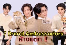 ห้างแตก!!! เปิดตัว Brand Ambassadors ทั้ง 7 นำทีมโดย “กลัฟ-หยิ่น-วอร์” ในงาน “Felina Canino Yes! Nine Happy! 9 ปีแห่งความสุข ยกขบวนความสนุกถึงคุณ” สุดยิ่งใหญ่