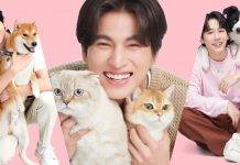 “กลัฟ” “หยิ่น” “วอร์” รวมพลคนรัก หมา-แมว มากรี๊ดมาเจอกัน… ในงาน “Felina Canino Yes! Nine Happy! 9 ปีแห่งความสุข ยกขบวนความสนุกถึงคุณ”