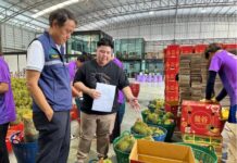 มกอช.เร่งสร้างการรับรู้ มกษ.9070 นำร่อง สวน-ล้งทุเรียนชุมพร