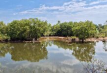 ชป.ศรีสะเกษ จับมือ ปภ. / อปท. วางแผนรับมือฤดูภัยแล้ง 68