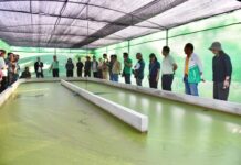 มกอช. มุ่งขับเคลื่อน ยกระดับผำไทยสู่เกษตรมูลค่าสูง ด้วยมาตรฐานสินค้าเกษตร