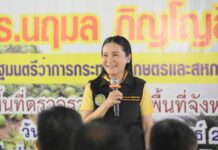รมว.นฤมล ตรวจเยี่ยมแปลงใหญ่มะพร้าวน้ำหอม เร่งผลักดันพืชเศรษฐกิจ คาบสมุทรสทิงพระ