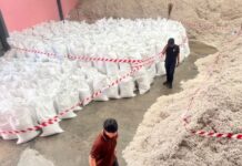 ฉก.พญานาคราช ลุยจับเมล็ดฝ้ายเถื่อน 2.3 แสนกิโลกรัม มูลค่า 1.8 ล้านบาท