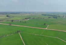 ชป.เตรียมเปิดก๊อก…ส่งน้ำเข้าทุ่งบางระกำ ให้เกษตรกรเริ่มเพาะปลูกได้ต้นเดือนเมษายนนี้